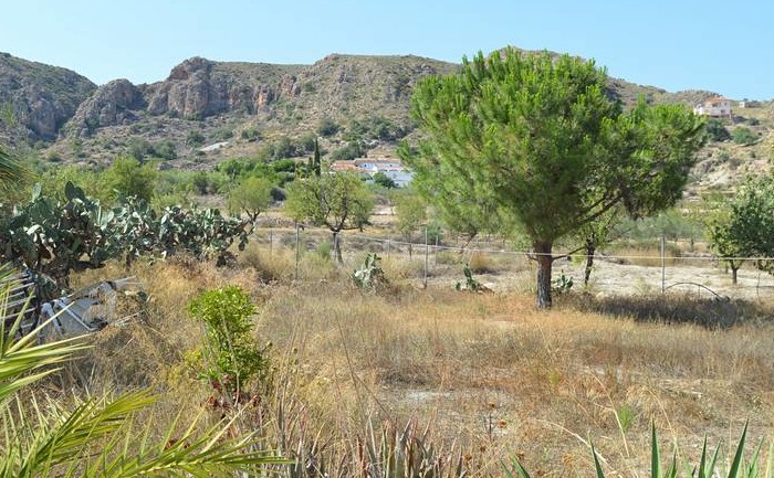 Cariatiz, Almeria