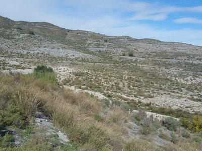 Land for sale in Lorca, Murcia